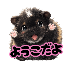 yoko_w_20260317222151