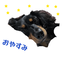 nonko_20260317162036