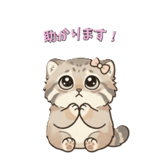 Polite Manul Cat (Business & Daily)