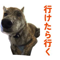 maika_20260317161508