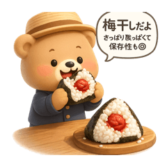 Kakun 3's rice ball fillings