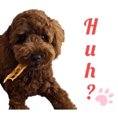 Fukase22_20260314165912