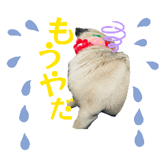 koduken1016_20260317180750