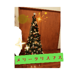 kudamatuke_20260317181459