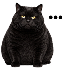 แมวดำตัวอ้วงมาก