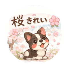 NANAMARU_20260317223904