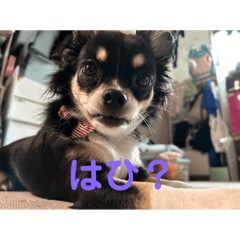 Monkithi_20260317223120