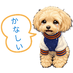 REI_20260317162448