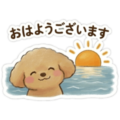 Daily life with a toy poodle