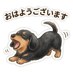 Daily life with dachshunds by your side