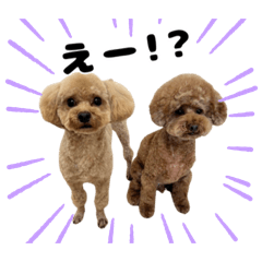 Yutori_20260317180541