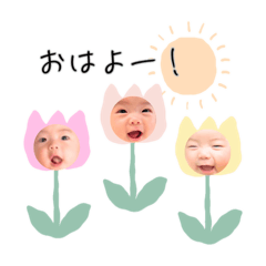 chacha_20260318082858