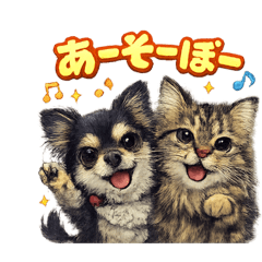 momo_20260317165251