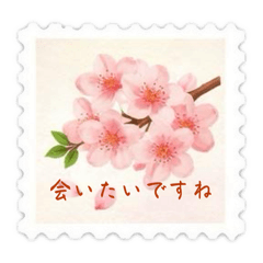 rapsun_20260317164437