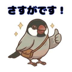 Polite Java Sparrow Daily Stickers