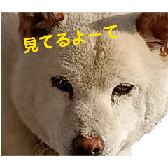 rakyy_20260317183833