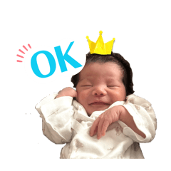 shiho_20260317184350