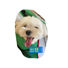 Lucky的一些小表情