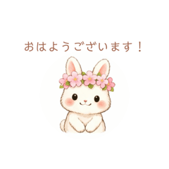 the cherry blossom season and rabbit