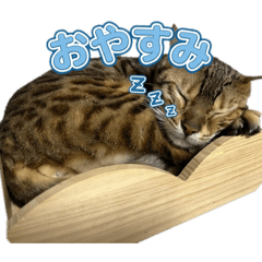 arus_20260317233523