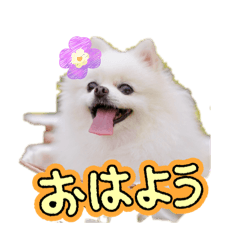 manaxrino_20260317232813