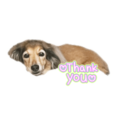 pkachan_20260318095019