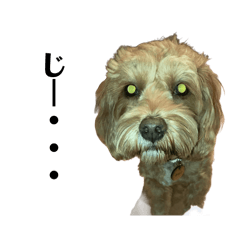 Hazuki_20260318094426