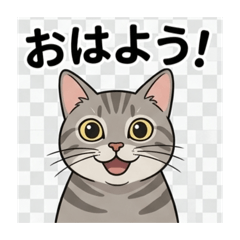 Masatoo_20260318102248