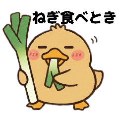 kuwa7ko_20260318094450