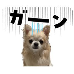 motao_20260318101001