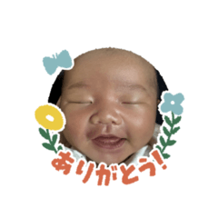 tomato_20260318103214