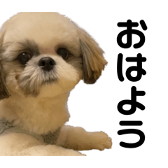 karin_20260318102445