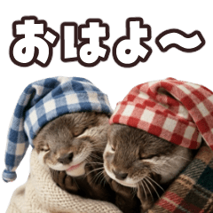 動く！カワウソ５【リアクション・挨拶】