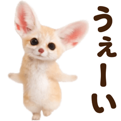 Dance fennec fox