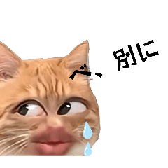 cat reaction_20260314143710