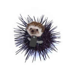 needle_20260317194936