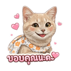 Beautiful girls_20260317184331