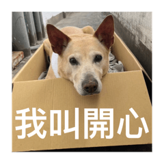 開心問你開心嗎