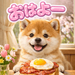 飛び出す❤かわいい柴犬❤毎日使える春