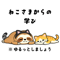 A sloth that wants to be a cat