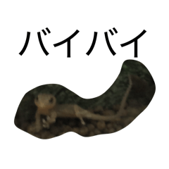 cornpotage_20260317182540