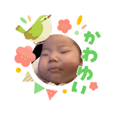 Sakura_20260317220050