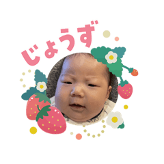 Sakura_20260317220257