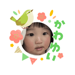 j.jmpw_20260317220607