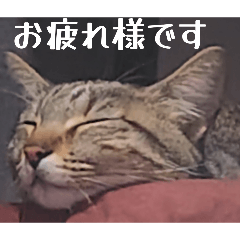 katuya_20260317215527