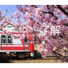 Ayano_20260318074006