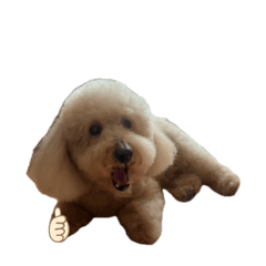 AYUMI_20260317225305