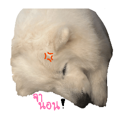 porch_20260317215119