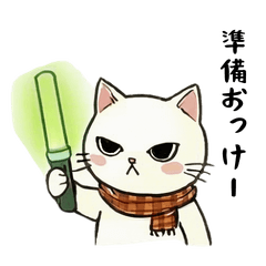 Wannabe Serious Cat oshikatsu