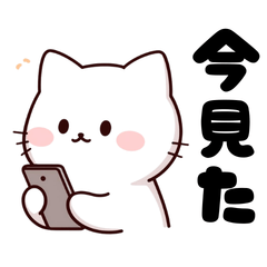 funny and surreal cat reaction stickers